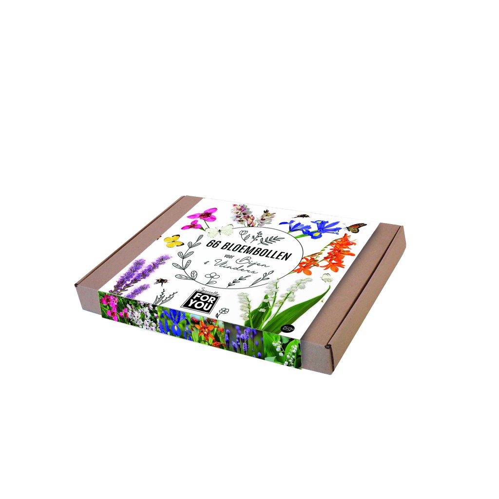 6598 Giftbox for you - NL (1)