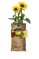 Afbeelding14